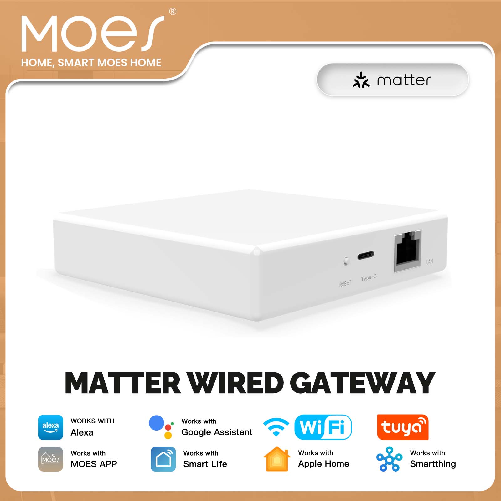 Smart Home Gira - MOES Tuya ZigBee Matter Thread Ağ