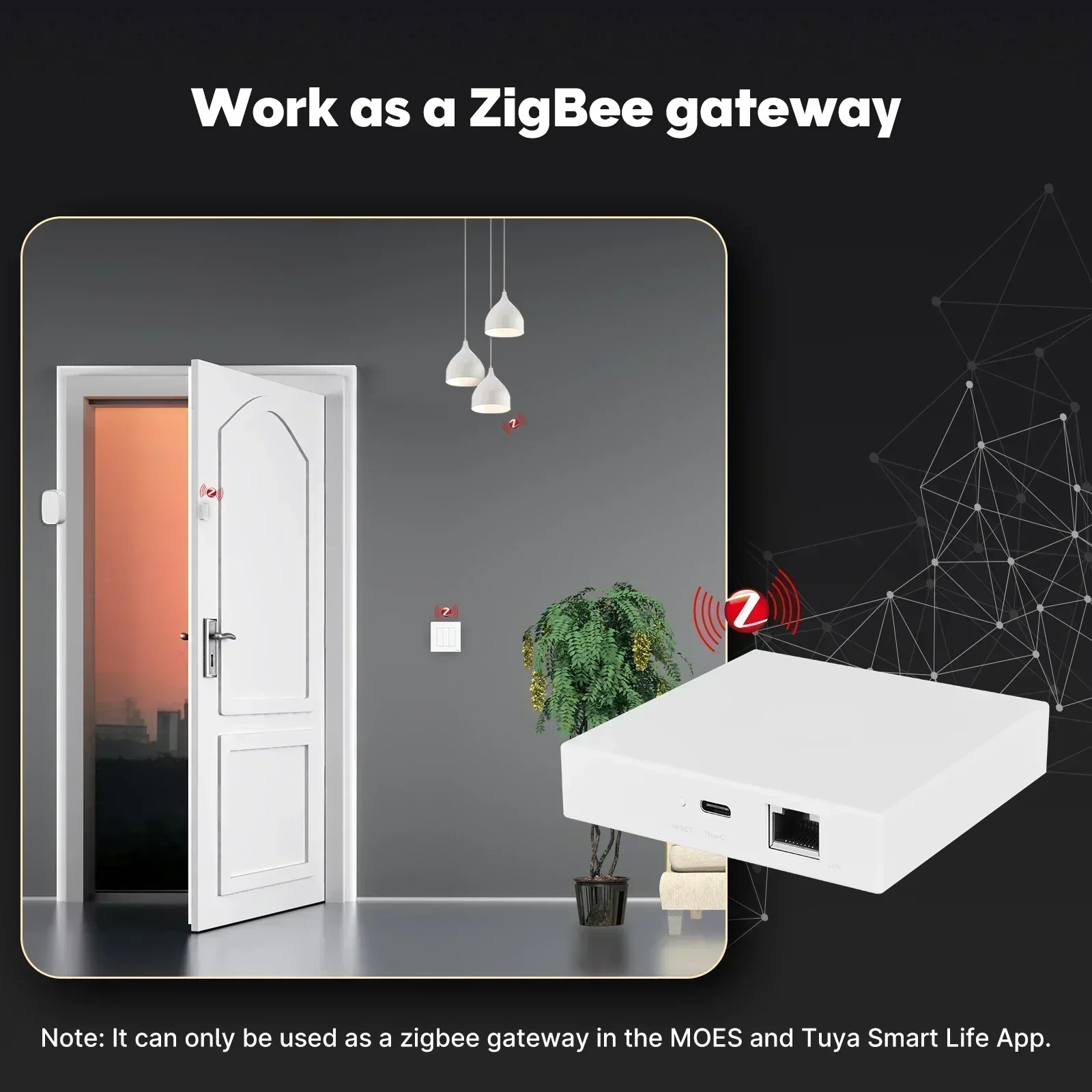 MOES Tuya Zigbee Madde Konu Ağ - Smart Home Gira incelemesi ve fiyatı
